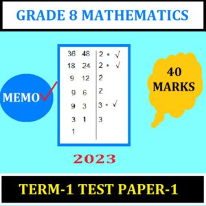 grade 8 maths assignment term 1 memorandum 2023