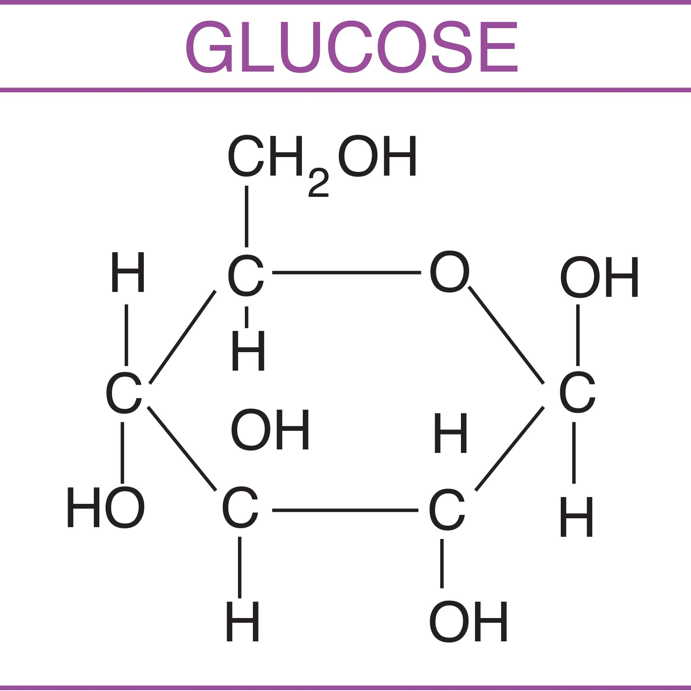 TEST ORGANIC COMPOUNDS IN OUR FOOD MCQ • Teacha!