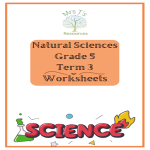 Grade 5 NST Term 3 Worksheets • Teacha!