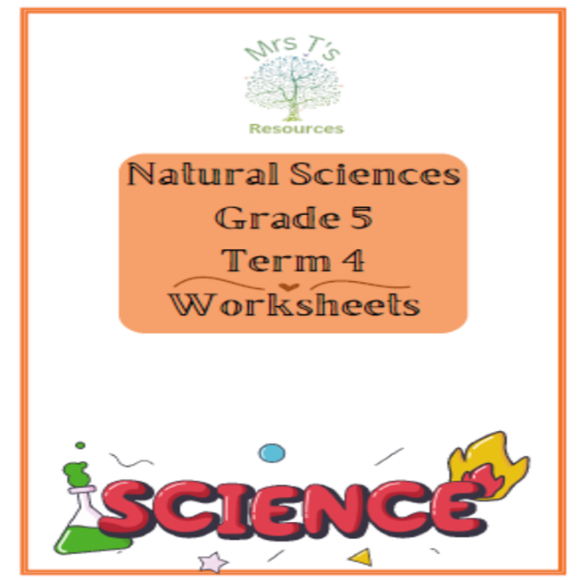 Grade 5 NST Term 4 Worksheets • Teacha!