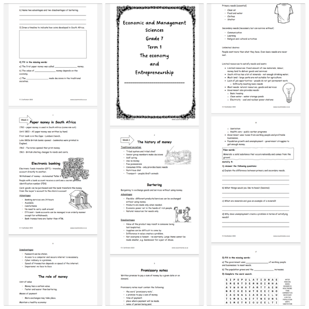 ems grade 7 assignment term 1