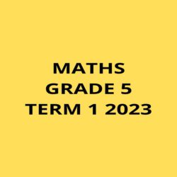 Maths Grade 5 Term 1 2023 Test • Teacha!