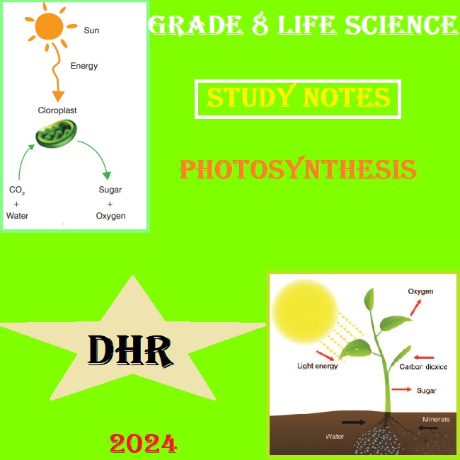 GRADE 8 LIFE SCIENCE STUDY NOTES ON PHOTOSYNTHESIS (2024) • Teacha!