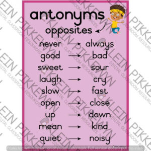 Synonyms and Antonyms (PINK) • Teacha!