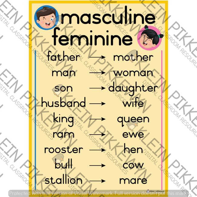 Masculine And Feminine Poster (yellow) • Teacha!