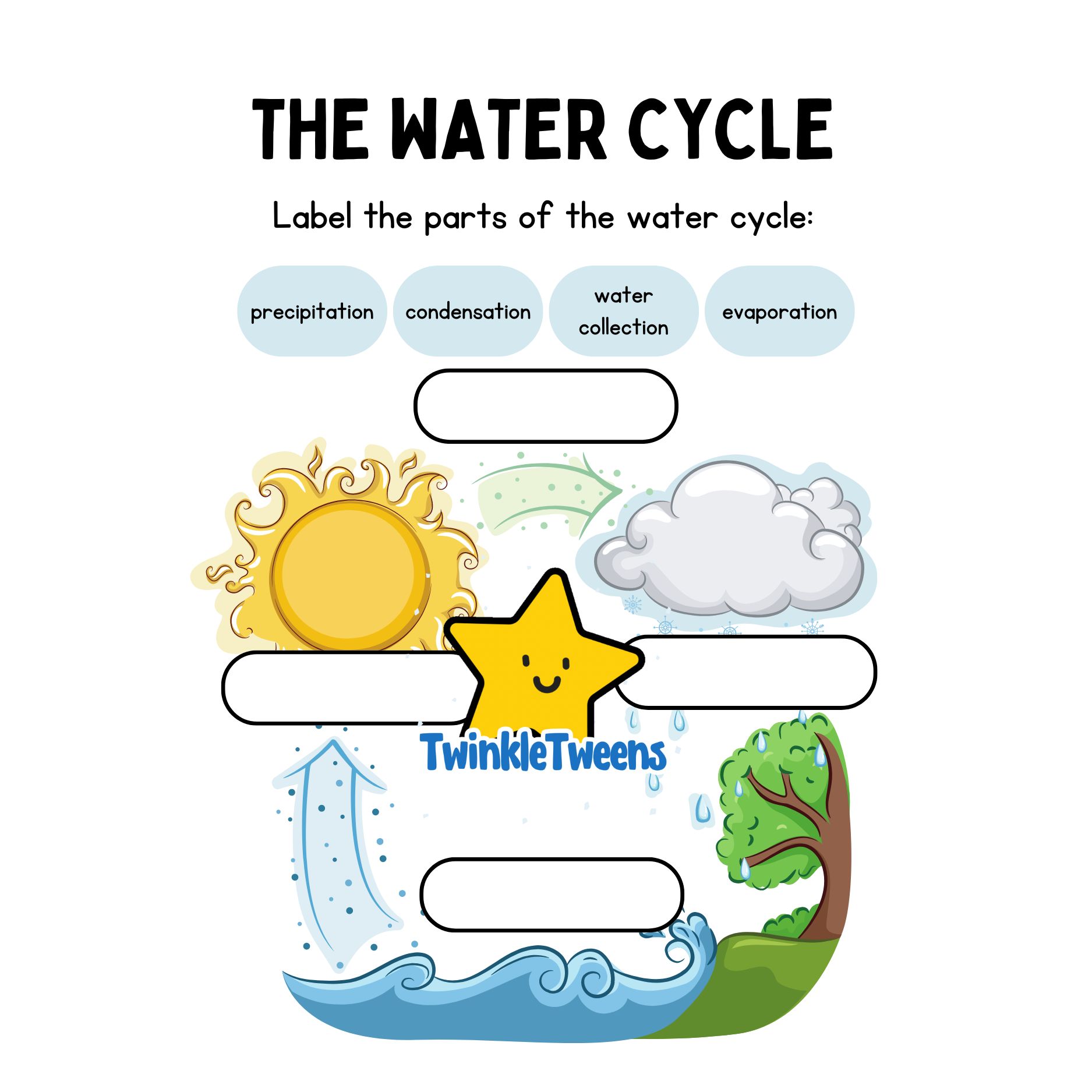 Water Cycle Worksheet – Watersiklus Werkkaart • Teacha!