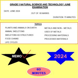 life orientation assignment grade 12 2023 memo