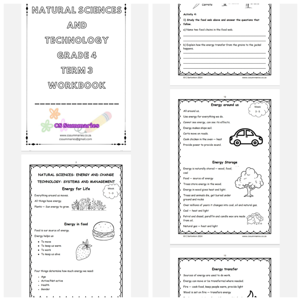 Natural Science And Technology Grade 4 Term 3 Workbook • Teacha!