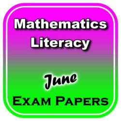 mathematical literacy assignment term 2 grade 11