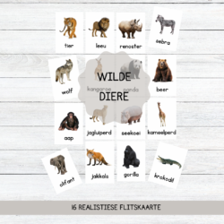 Realistiese Wilde Diere Flitskaarte (Realistic Wild Animals Flashcards ...