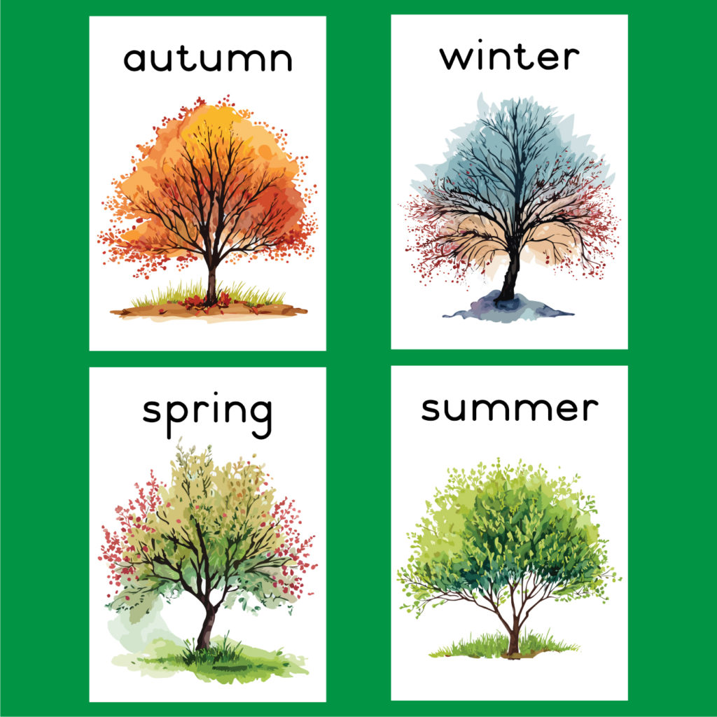 A4 Wall Cards: Trees in All Four Seasons • Teacha!