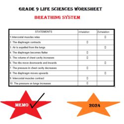 grade 10 assignment term 2 life sciences