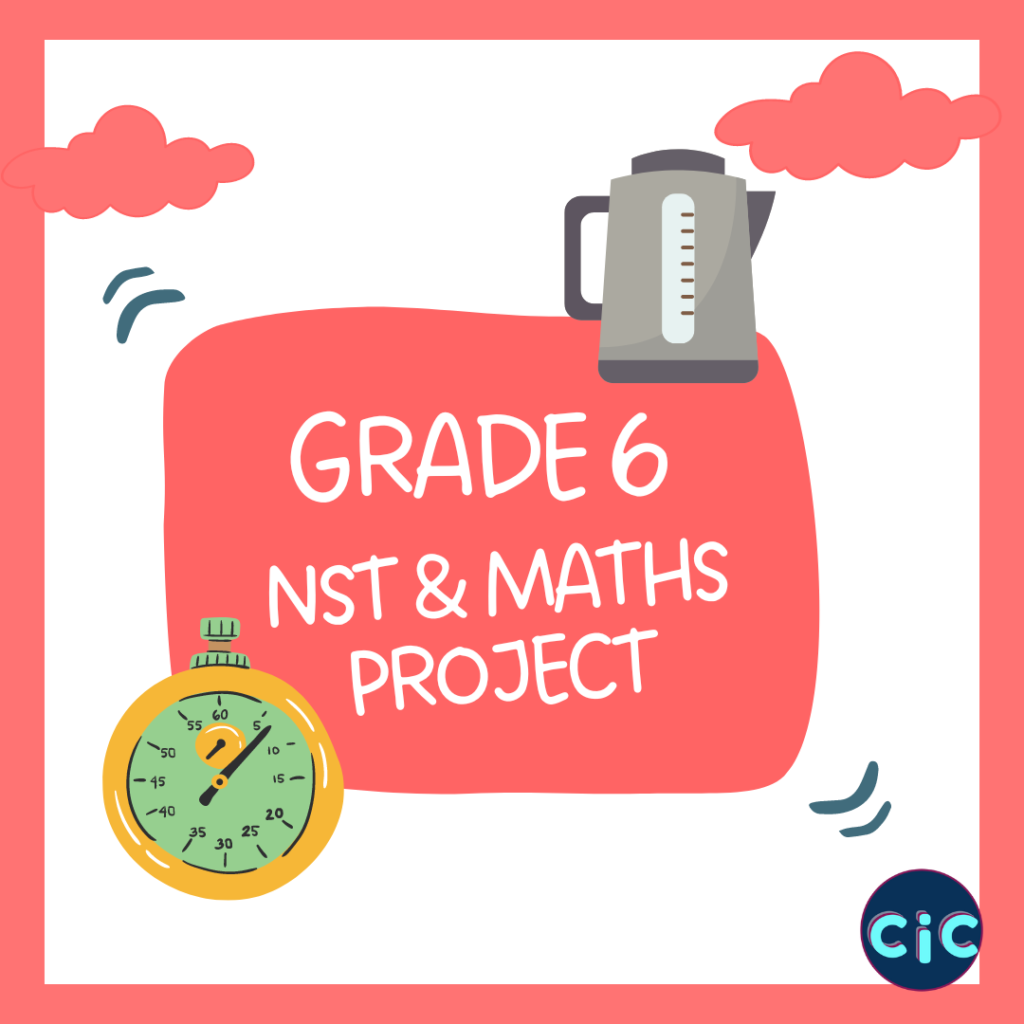 Grade 6 Term 3 Maths and NST Project • Teacha!