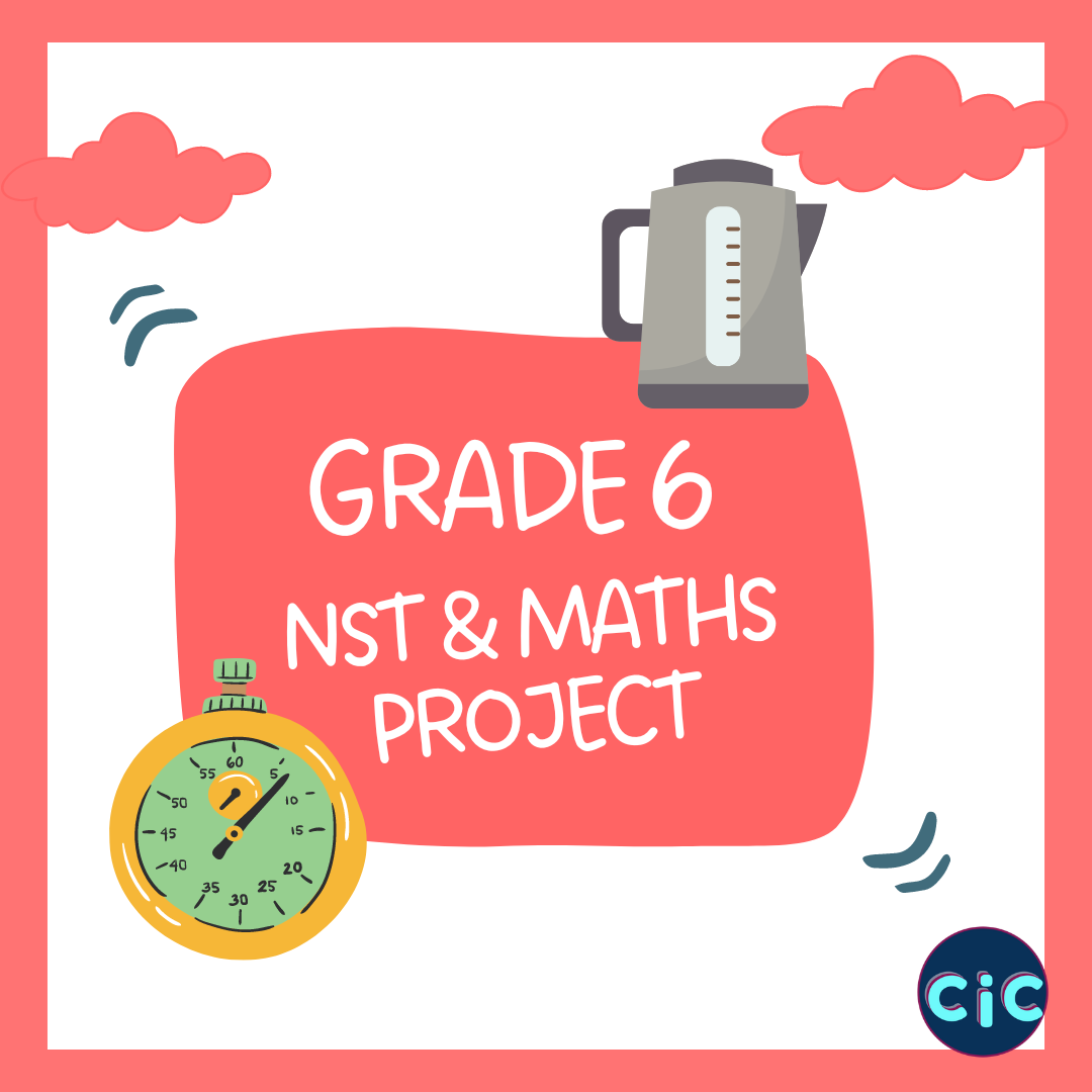 Grade 6 Maths Assessment Term 2 Investigation • Teacha!