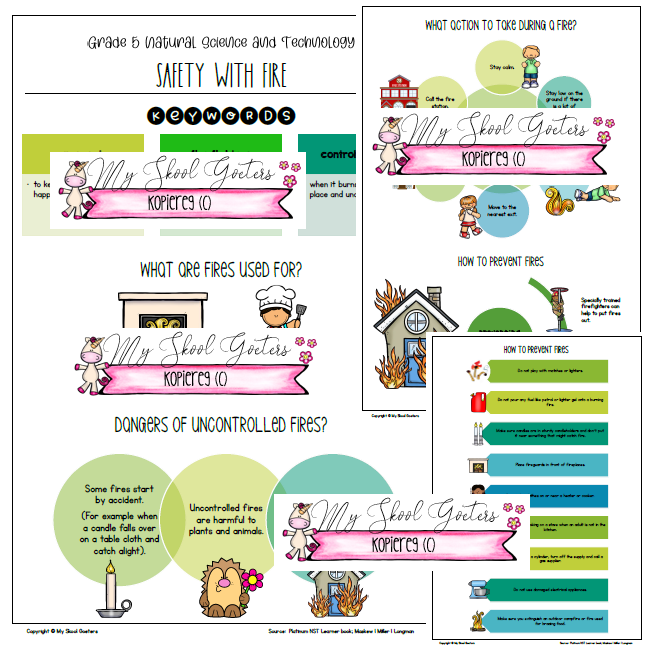 GRADE 5 NATURAL SCIENCE AND TECHNOLOGY – TERM 3 SUMMARIES (Platinum ...