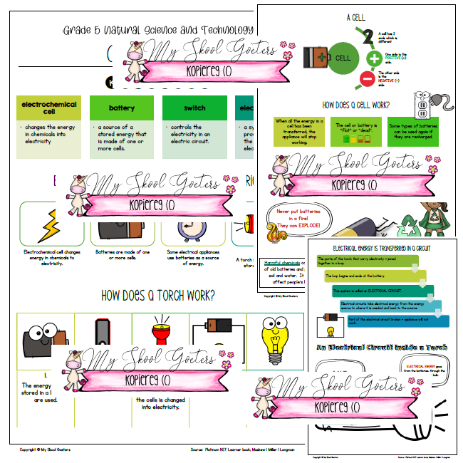 GRADE 5 NATURAL SCIENCE AND TECHNOLOGY – TERM 3 SUMMARIES (Platinum ...