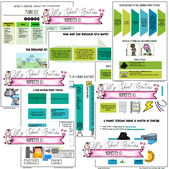 GRADE 5 NATURAL SCIENCE AND TECHNOLOGY – TERM 3 SUMMARIES (Platinum ...