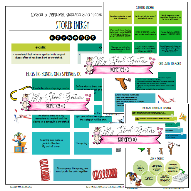 GRADE 5 NATURAL SCIENCE AND TECHNOLOGY – TERM 3 SUMMARIES (Platinum ...