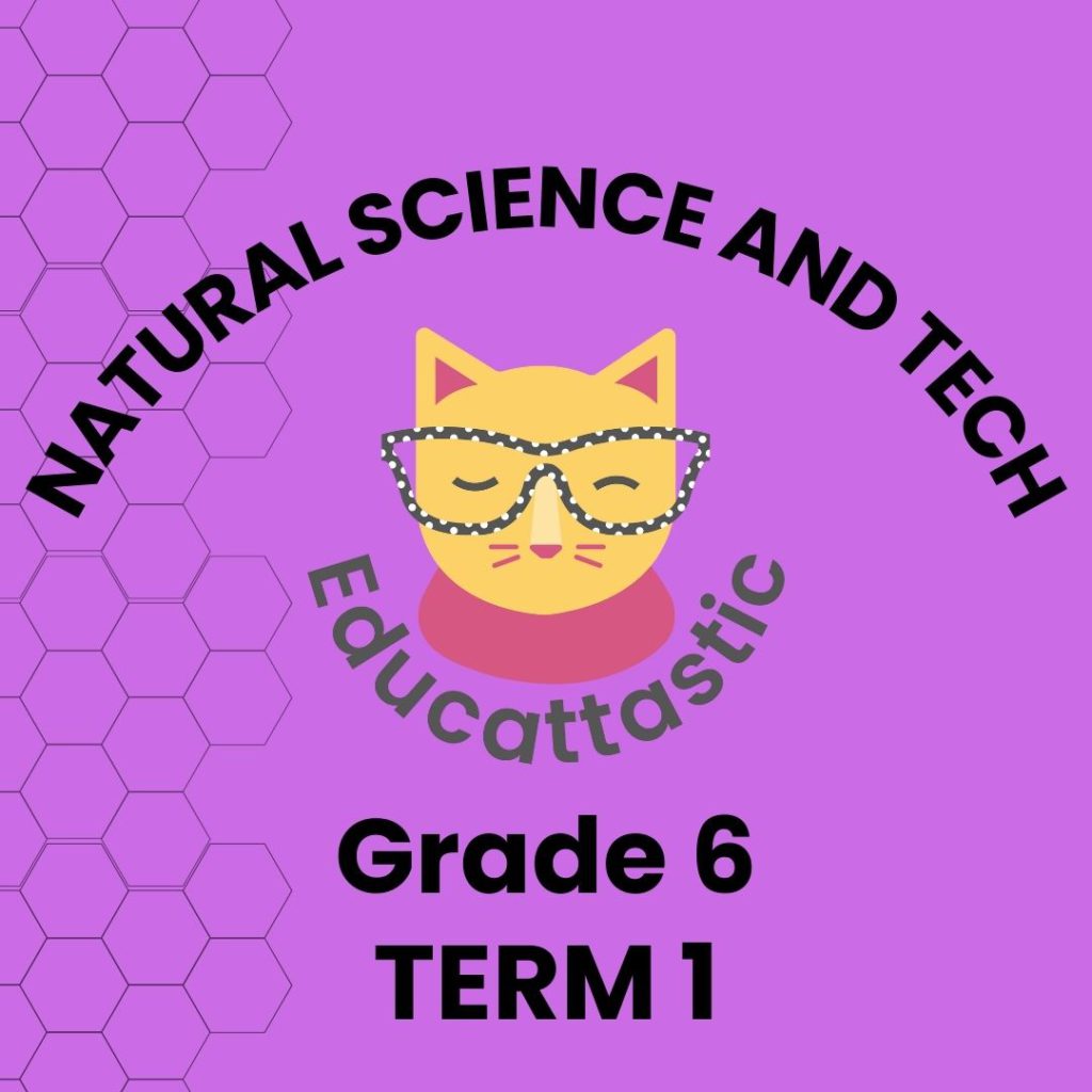 EDUCATTASTIC NST GRADE 6 • Teacha!