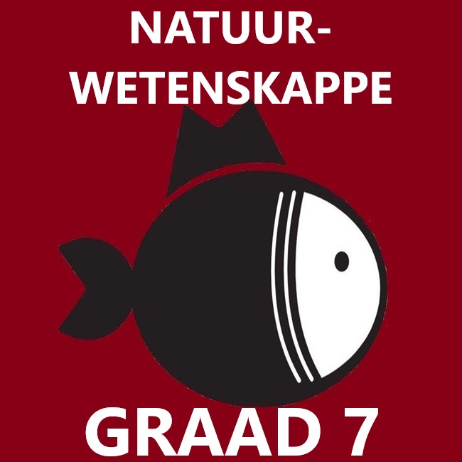 2023 Natuurwetenskappe Gr 7 Kwartaal 3 Projek • Teacha!