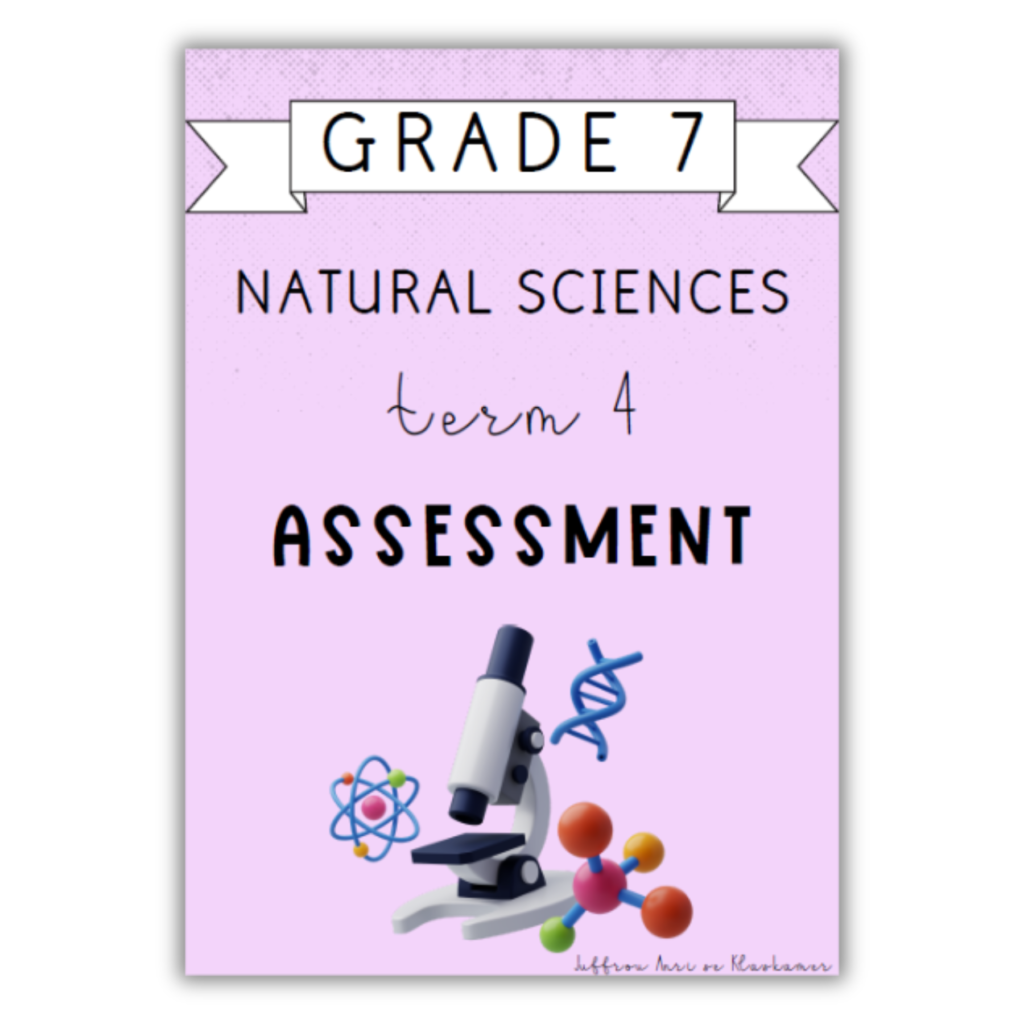 Grade 7 Natural Sciences Term 4 Assessment 2024 • Teacha 7016